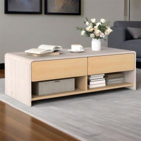 Home Coffee Table with 2 Drawers and 2 Storage Shelf