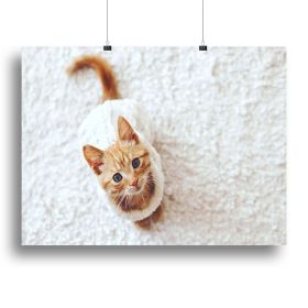 Cute little kitten wearing warm knitted sweater Canvas Print or Poster (Type: Poster Print, size: 40" x 26" / 100cm x 65cm (approx))
